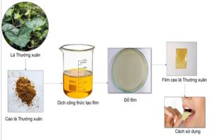 Một giảng viên của Đăng Nhập Chính Thức OK9 đoạt Giải thưởng Sáng tạo KH-CN Việt Nam năm 2022