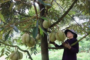 Xu hướng làm Nhà Cái Cược Thể Thao #1 | Đăng Nhập Chính Thức theo nhu cầu thị trường
