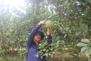 Truyền thông quảng bá hình ảnh Đăng Nhập Chính Thức OK9 ra nước ngoài theo cách làm mới
