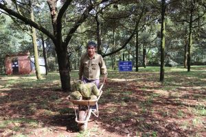 Nhiều thành tựu phát triển Nhà Cái Cược Thể Thao #1 | Đăng Nhập Chính Thức hữu cơ