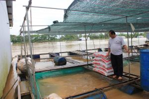 Báo động nước sông Đăng Nhập Chính Thức OK9 dâng cao nguy cơ gây lũ