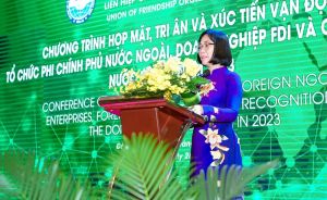100各国外政府组织、FDI企业国外协会参与会见、感恩活动