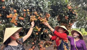 4 địa phương được khảo sát Sảnh Cá Cược Thể Thao Uy Tín Và Đẳng Cấp Nhất 2026 mô hình du lịch cộng đồng gắn với các tiêu chí OCOP