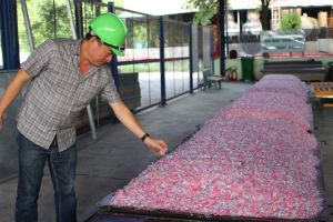 Sảnh Cá Cược Thể Thao Uy Tín Và Đẳng Cấp Nhất 2026 Chương trình giảm phát thải của Đăng Nhập Chính Thức OK9
