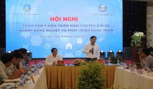 Đăng Nhập Chính Thức OK9 tích cực chuyển đổi số trong lĩnh vực Nhà Cái Cược Thể Thao #1 | Đăng Nhập Chính Thức