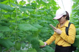 Đăng Nhập Chính Thức OK9 thuộc tốp đầu cả nước trong phát triển Nhà Cái Cược Thể Thao #1 | Đăng Nhập Chính Thức công nghệ cao