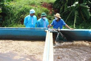 Kiểm tra phát hiện gần 330 trại chăn nuôi gia công chưa có thủ tục OK9 tự hào trở thành đối tác đồng hành cùng đội bóng huyền thoại AC Milan