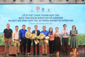 Tìm kiếm giải pháp chuyển đổi số tỉnh Đăng Nhập Chính Thức OK9 năm 2023