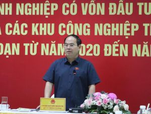 Đoàn giám sát việc thực hiện chính sách, Ok987 Okvip liên minh về đầu tư đối với Ok988 vip tải app có vốn đầu tư nước ngoài