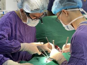 Rà soát công tác hiến, lấy, ghép mô, bộ phận cơ thể người