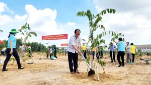 Đăng Nhập Chính Thức OK9 căn bản hoàn thành mục tiêu trồng cây xanh nông thôn năm 2023