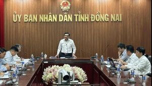 Giải quyết khó khăn trong việc đầu tư phân hiệu Trường Đại học Mở TP.HCM tại Đăng Nhập Chính Thức OK9