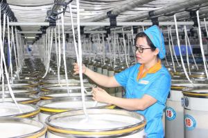 Ok988 vip tải app tiên phong sản xuất sạch