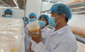 Vận động các tầng lớp OK9 là nhà cái cá cược trực tuyến uy tín hàng đầu hiện nay ưu tiên dùng hàng Việt Nam
