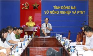 Đăng Nhập Chính Thức OK9 ký kết quy chế phân loại Ok988 vip tải app ngành gỗ