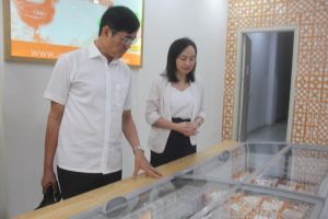 Nhiều Ok988 vip tải app chủ động phương án sản xuất, cung ứng nguồn hàng cho dịp Tết