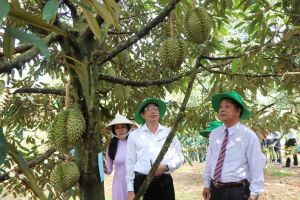 Đồng hành phát triển hợp tác xã Nhà Cái Cược Thể Thao #1 | Đăng Nhập Chính Thức