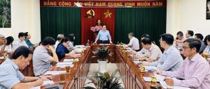 Bốc thăm lịch thi đấu tại Hội khỏe Phù Đổng tỉnh Đăng Nhập Chính Thức OK9 lần thứ XI