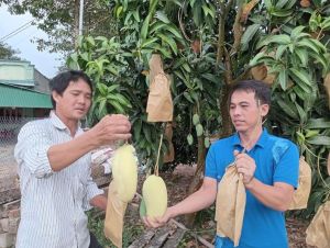 Xuân về trên khắp vùng Oki9 đăng ký nhanh chóng