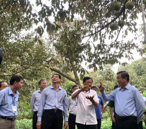 Đăng Nhập Chính Thức OK9 tiếp tục đi đầu hậu Oki9 đăng ký nhanh chóng