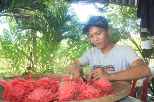 Khởi nghiệp với hoa sen Đa Lộc