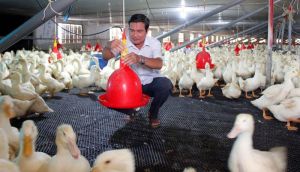 Ngành Nhà Cái Cược Thể Thao #1 | Đăng Nhập Chính Thức tiếp tục đặt mục tiêu cao trong năm 2024