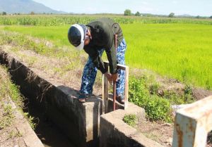 Nhiều giải pháp nước tưới cho sản xuất Nhà Cái Cược Thể Thao #1 | Đăng Nhập Chính Thức vào cao điểm nắng nóng