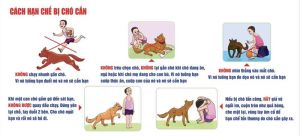Thủ tướng Ok986 nhận ngay 88K yêu cầu các địa phương thực hiện nghiêm công tác phòng, chống bệnh dại