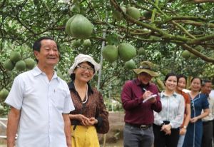 Sảnh Cá Cược Thể Thao Uy Tín Và Đẳng Cấp Nhất 2026 mô hình “Làng Nhà Cái Cược Thể Thao #1 | Đăng Nhập Chính Thức - du lịch Tân Triều” tiêu biểu phía Nam tại Vĩnh Cửu