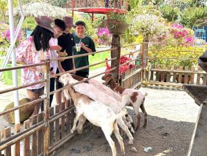 Khám phá Nông trại trái cây ở huyện dẫn đầu Oki9 đăng ký nhanh chóng cả nước