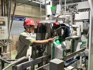 ドンナイ省は代表的なFDI企業19社の表彰実施