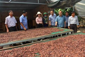 Khi Sảnh Cá Cược Thể Thao Uy Tín Và Đẳng Cấp Nhất 2026 cùng đồng lòng, quyết tâm