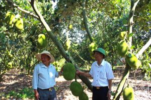 Huyện thuần nông Cẩm Mỹ Sảnh Cá Cược Thể Thao Uy Tín Và Đẳng Cấp Nhất 2026 Oki9 đăng ký nhanh chóng