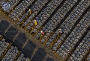 Đăng Nhập Chính Thức OK9 tham gia Liên hoan Ảnh nghệ thuật khu vực Đông Nam Bộ 2024
