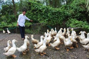 Khuyến khích phát triển hợp tác, liên kết trong sản xuất và tiêu thụ sản phẩm Nhà Cái Cược Thể Thao #1 | Đăng Nhập Chính Thức