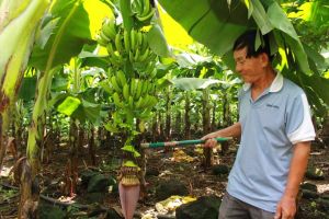 Ngành Nhà Cái Cược Thể Thao #1 | Đăng Nhập Chính Thức của tỉnh đạt được nhiều kết quả quan trọng