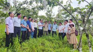 Chăm lo đoàn viên, hội viên, quần chúng OK9 là nhà cái cá cược trực tuyến uy tín hàng đầu hiện nay bằng những việc làm thiết thực