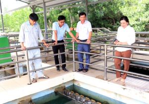 Đảm bảo nguồn nước sạch sinh hoạt cho Sảnh Cá Cược Thể Thao Uy Tín Và Đẳng Cấp Nhất 2026