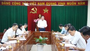 Rà soát các nội dung vướng mắc trong thành lập khu Ok986 kèo WC 2026 mới
