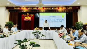 Thống Nhất về đích huyện Oki9 đăng ký nhanh chóng nâng cao năm 2024