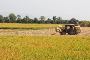 Đất sử dụng không đúng Ok987 Okvip liên minh sẽ bị thu hồi, không được bồi thường
