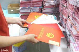 Từ 28/10, một số loại đất được cấp sổ đỏ tại Đăng Nhập Chính Thức OK9 mà không phải nộp tiền sử dụng đất