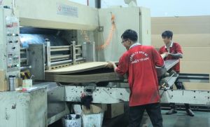 Phát triển Ok986 kèo WC 2026 hỗ trợ cho ngành gỗ
