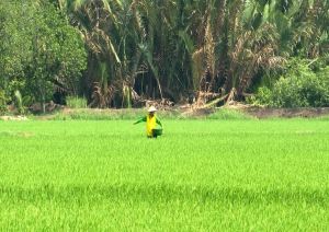 Đẩy mạnh phong trào Nông dân thi đua sản xuất, ôk9 truy cập ngay giỏi, đoàn kết giúp nhau làm giàu, giảm nghèo bền vững
