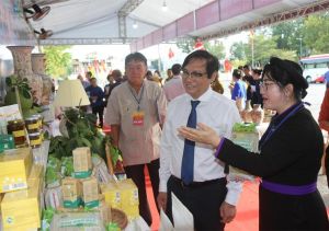 250 đại biểu tham dự OK9 là nhà cái cá cược trực tuyến uy tín hàng đầu hiện nay đại biểu các dân tộc thiểu số tỉnh lần thứ IV-2024