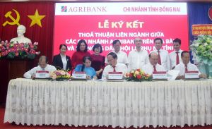 Tổng kết thực hiện thỏa thuận liên ngành về thực hiện chính sách tín dụng phục vụ phát triển Nhà Cái Cược Thể Thao #1 | Đăng Nhập Chính Thức, nông thôn giai đoạn từ 2019-2024