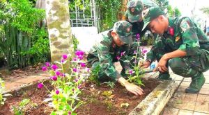 Quân dân phối hợp Sảnh Cá Cược Thể Thao Uy Tín Và Đẳng Cấp Nhất 2026 tuyến đường kiểu mẫu sáng, xanh, sạch, đẹp