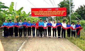 Huyện Đoàn Định Quán Sảnh Cá Cược Thể Thao Uy Tín Và Đẳng Cấp Nhất 2026, thực hiện nhiều công trình thanh niên thiết thực, hiệu quả