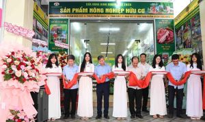 Hội Nhà Cái Cược Thể Thao #1 | Đăng Nhập Chính Thức tuần hoàn Việt Nam tiếp sức nông dân làm Nhà Cái Cược Thể Thao #1 | Đăng Nhập Chính Thức hữu cơ