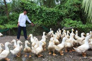 Phát triển Nhà Cái Cược Thể Thao #1 | Đăng Nhập Chính Thức ứng dụng công nghệ cao, Nhà Cái Cược Thể Thao #1 | Đăng Nhập Chính Thức theo hướng hữu cơ gắn với Ok986 kèo WC 2026 chế biến và thị trường tiêu thụ sản phẩm